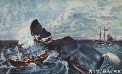 蓝鲸的悲歌与新生 从屠戮边缘到缓慢复苏