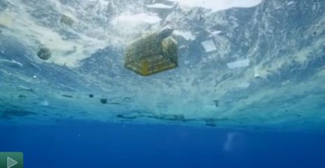 塑料之殇 20世纪最糟糕发明，拖垮的不只是你的胃